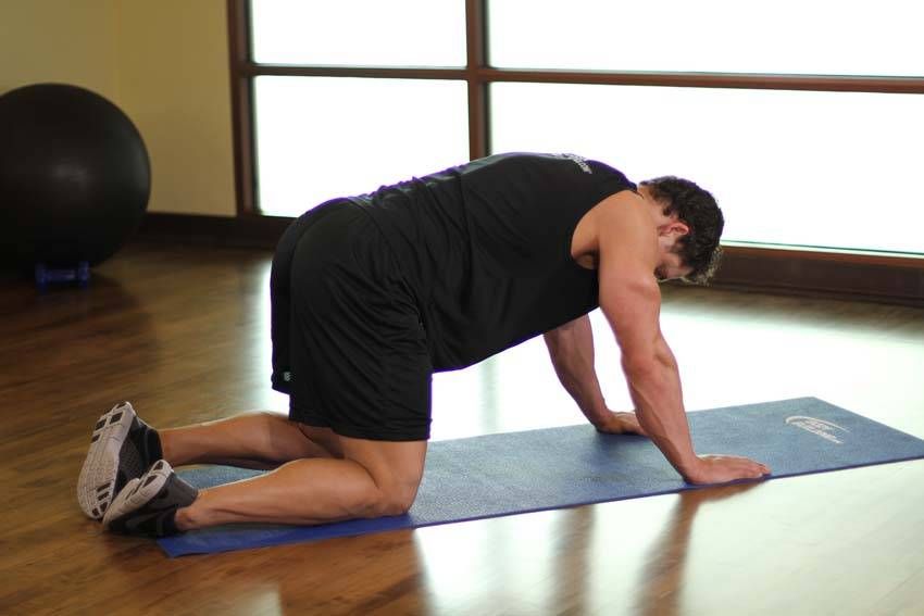 Cat-Cow Stretch demonstration, start of the movement, targeting the back