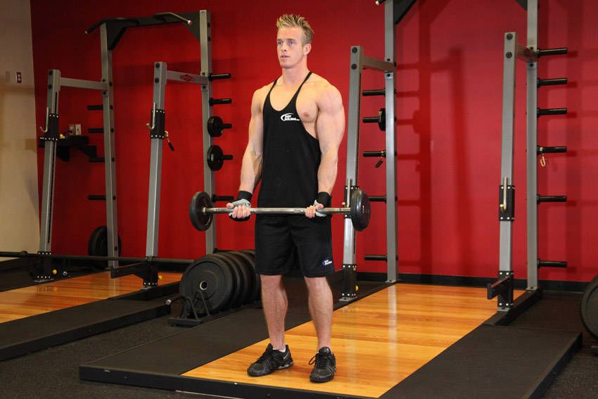 EZ-Bar Curl demonstration, start of the movement, targeting the biceps