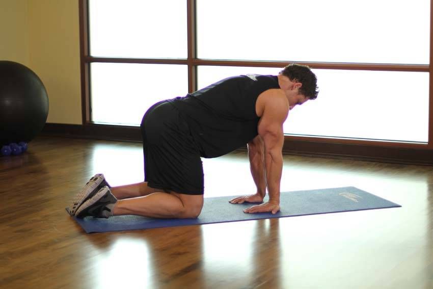Kneeling Wrist & Forearm Stretch demonstration, start of the movement, targeting the forearms