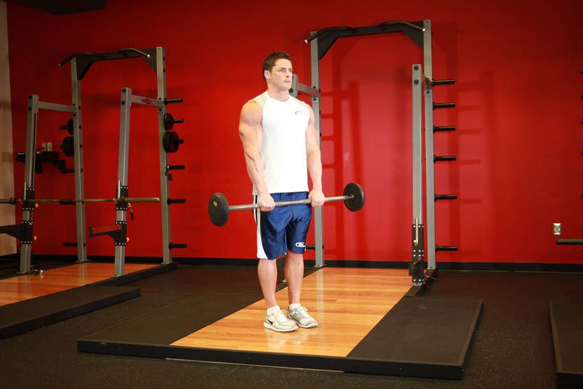 Reverse Curl demonstration, start of the movement, targeting the biceps