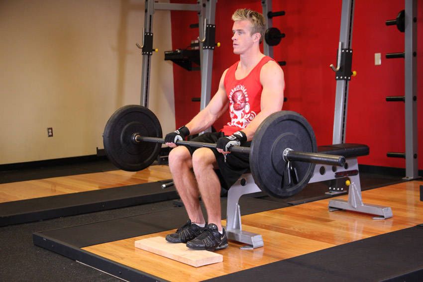 Seated Barbell Calf Raise demonstration, start of the movement, targeting the calves