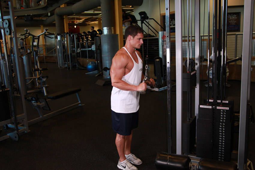 V-Bar Tricep Pushdown demonstration, start of the movement, targeting the triceps